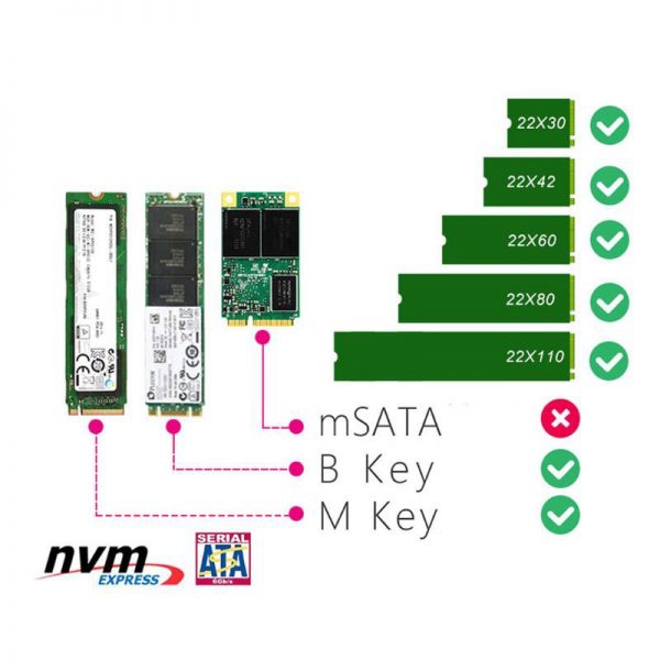 NVME M.2 SSD M Key + B Key SATA → PCI-E X4 Gen 3 アダプター - Disk House